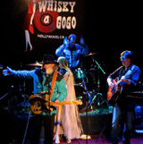 whiskey